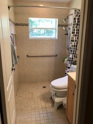 Toilet and shower combo